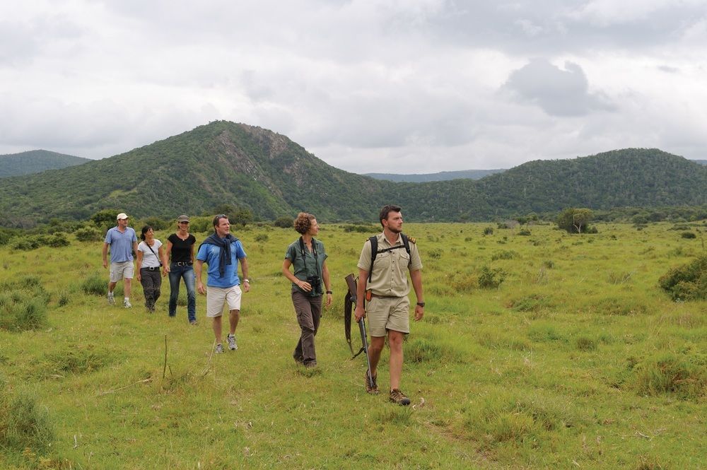 Kariega Game Reserve Settlers Drift Alexandria  Ngoại thất bức ảnh