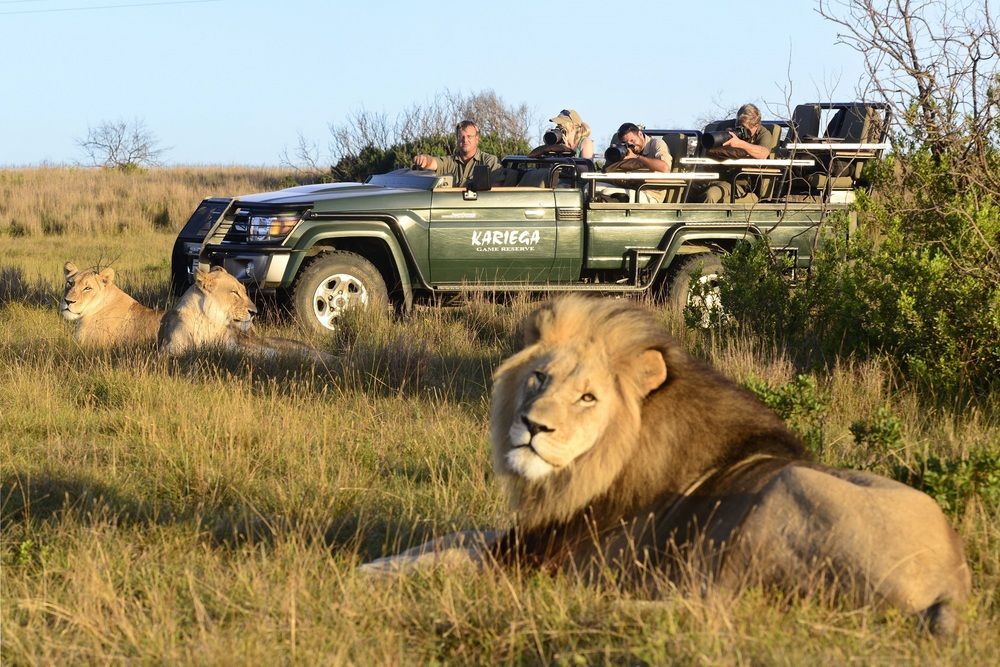 Kariega Game Reserve Settlers Drift Alexandria  Ngoại thất bức ảnh