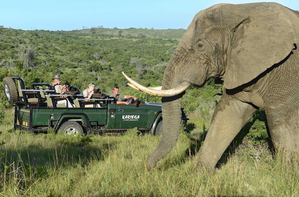 Kariega Game Reserve Settlers Drift Alexandria  Ngoại thất bức ảnh