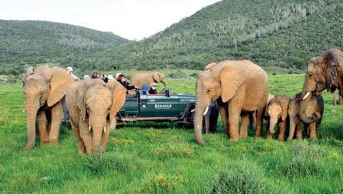Kariega Game Reserve Settlers Drift Alexandria  Ngoại thất bức ảnh